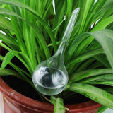 Hand Blown Glass Spherical Watering Device