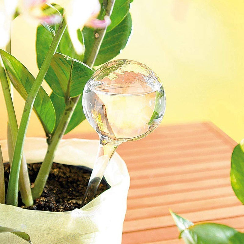 Hand Blown Glass Spherical Watering Device