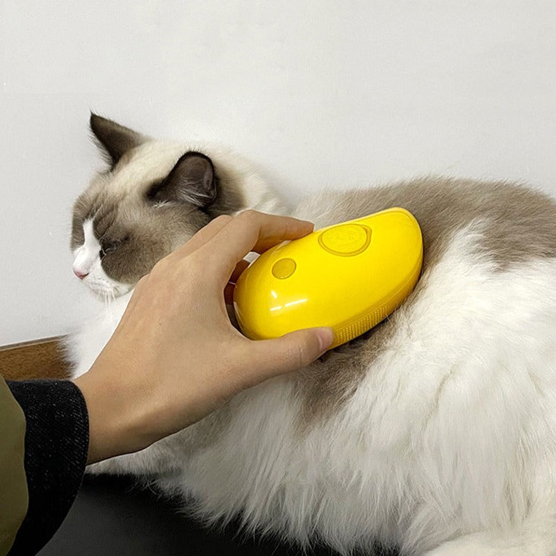 Cat Dog Steamy Brush