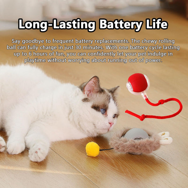 New Design 360° Smart Automatic Interactive Dog Smart Ball Toy Interactive Cat Toys Rolling Ball with USB Charger