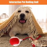 New Design 360° Smart Automatic Interactive Dog Smart Ball Toy Interactive Cat Toys Rolling Ball with USB Charger