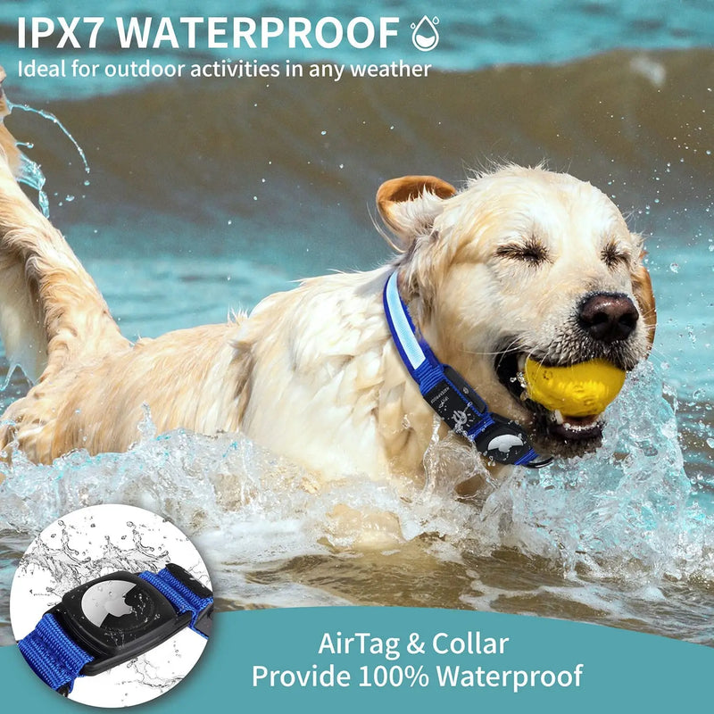 Dog Collar WaterProof Light