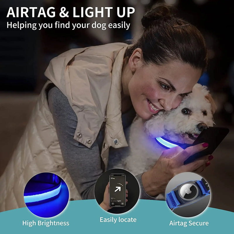 Dog Collar WaterProof Light