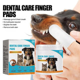 50Pcs Presoaked Dog Toothbrushes