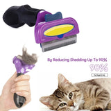 Cat Hair Removal