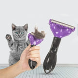 Cat Hair Removal