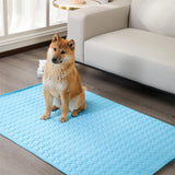 Summer Pet Cooling Mat Pad