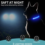 Dog Collar WaterProof Light