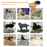 Cat Hair Removal