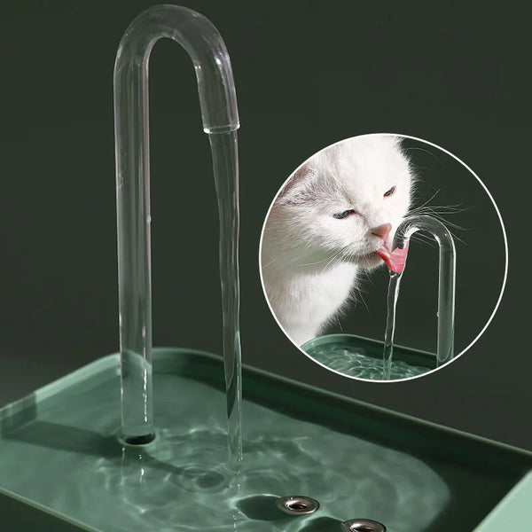 Pets Water Fountain