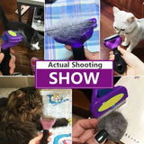 Cat Hair Removal