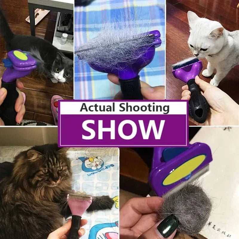 Cat Hair Removal